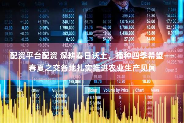 配资平台配资 深耕春日沃土，播种四季希望——春夏之交各地扎实推进农业生产见闻